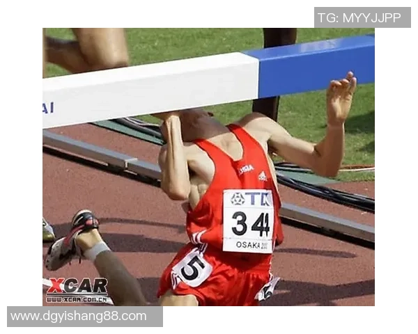 伐木者与圣何塞的激烈对决谁能在赛场上笑到最后 伐木者与圣何塞的激烈对决谁能在赛场上笑到最后