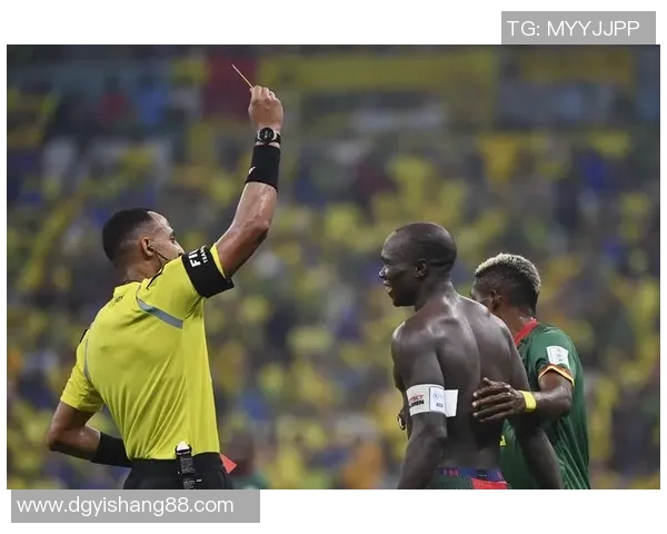 瑞士女排精彩对决巴西与喀麦隆的巅峰较量引人瞩目