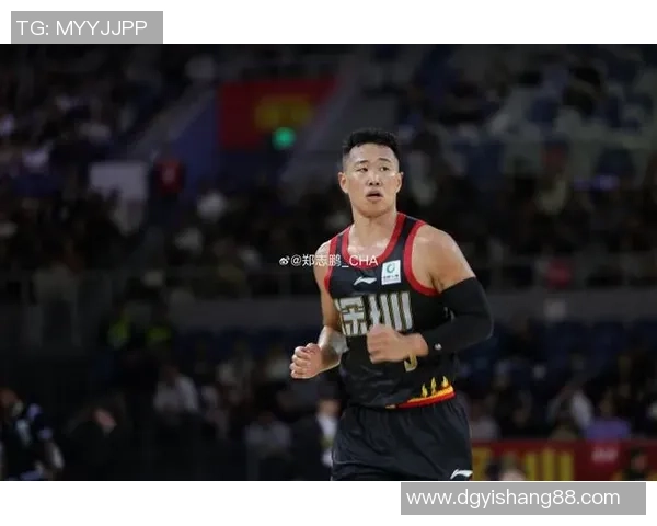 贺希宁：从篮球新星到职业生涯的璀璨旅程与奋斗故事