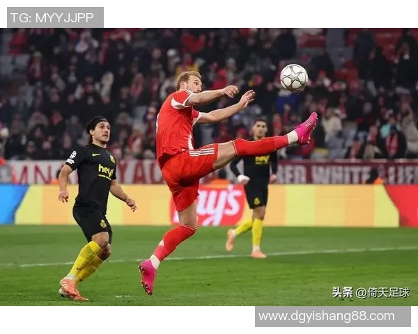 不伦瑞克迎战拜仁慕尼黑争夺德甲荣耀精彩对决即将上演