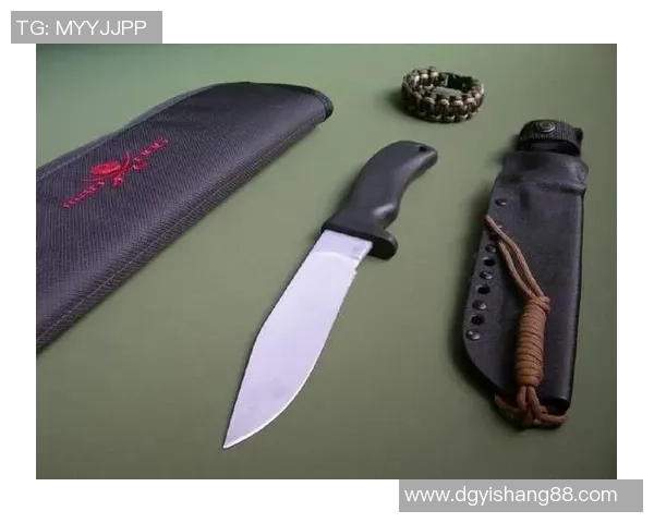 武汉极限运动队战术深度解析与对比研究 武汉极限运动队战术深度解析与对比研究