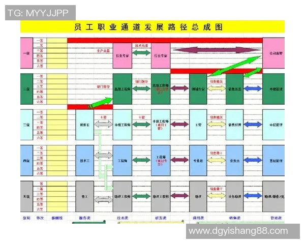 深圳乒乓球队的灵活性探讨与发展路径分析